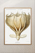 wood framed octopus print wall art